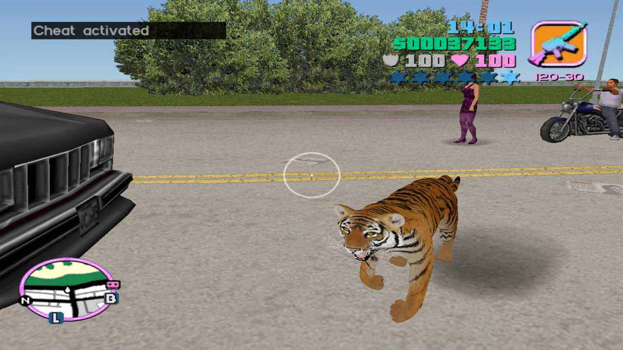 Tiger Bodyguard